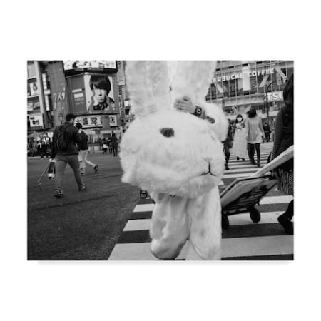 Trademark Fine Art Tatsuo Suzuki 'The Bunny Suit' Canvas Art, 14x19 1X07749-C1419GG